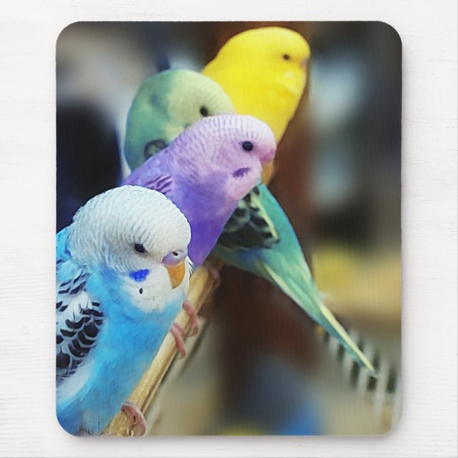 Parakeets mousepad (Vorne)