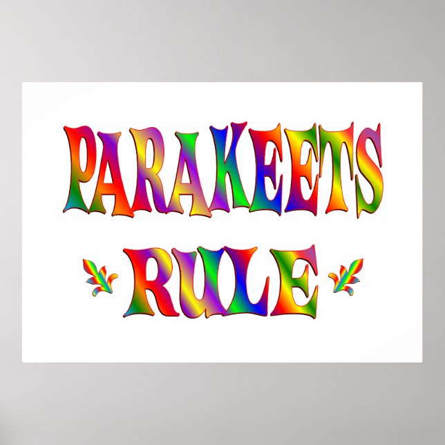 PARAKEETS-REGELUNG POSTER (Vorne)
