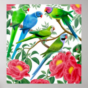 Parakeets u. Pfingstrosen-Druck Poster