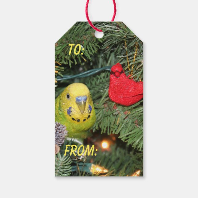 Paraket in einem Weihnachtsbaum Geschenkanhänger (Vorderseite)