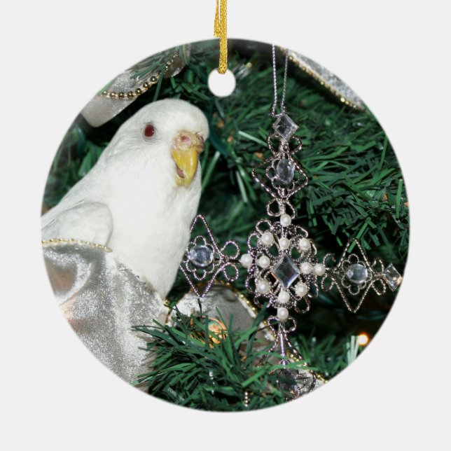 Paraket in einem Weihnachtsbaum Keramikornament (Hinten)