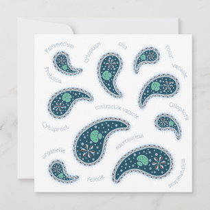 Paramecia Paisley Personalizable Biologie Nr. Mitteilungskarte