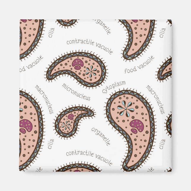 Paramecia Paisley Personalizable Biologie Weiß Magnet (Vorne)