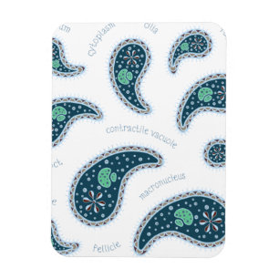 Paramecia Paisley Protozoan Biologie Wissenschaft Magnet
