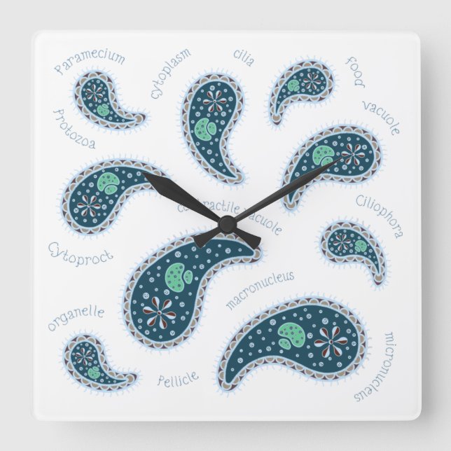 Paramecia Paisley Protozoan Biology Science Light Quadratische Wanduhr (Vorderseite)