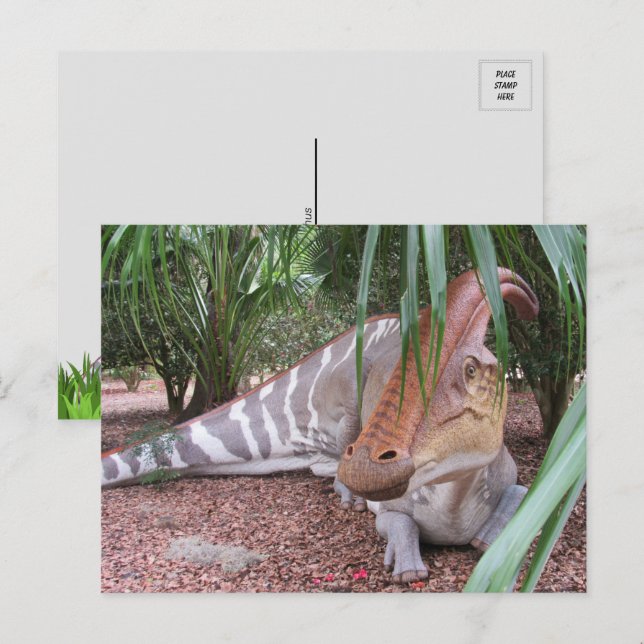 Parasaurolophus - Dinosaurier - Postkarte (Vorne/Hinten)