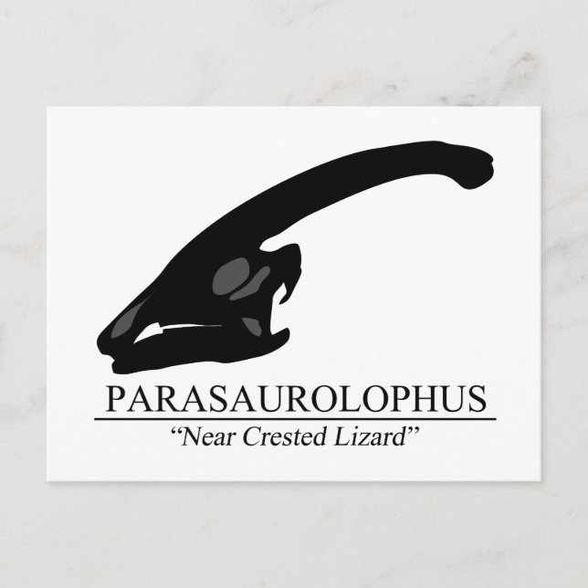 Parasaurolophus Postkarte (Vorderseite)