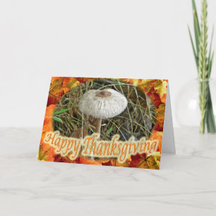 Parasol Mushroom Happy Thanksgiving Card Feiertagskarte