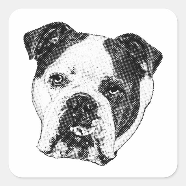 Parcel Mark Bulldog Quadratischer Aufkleber (Vorderseite)
