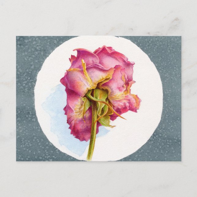 PARCHIERTE ROSE POSTKARTE (Vorderseite)