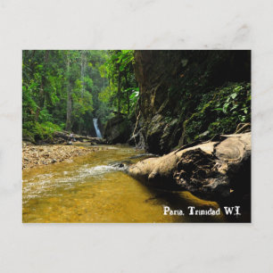 Paria River and Waterfall, Trinidad W.I. Postkarte