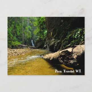 Paria River and Waterfall, Trinidad W.I. Postkarte