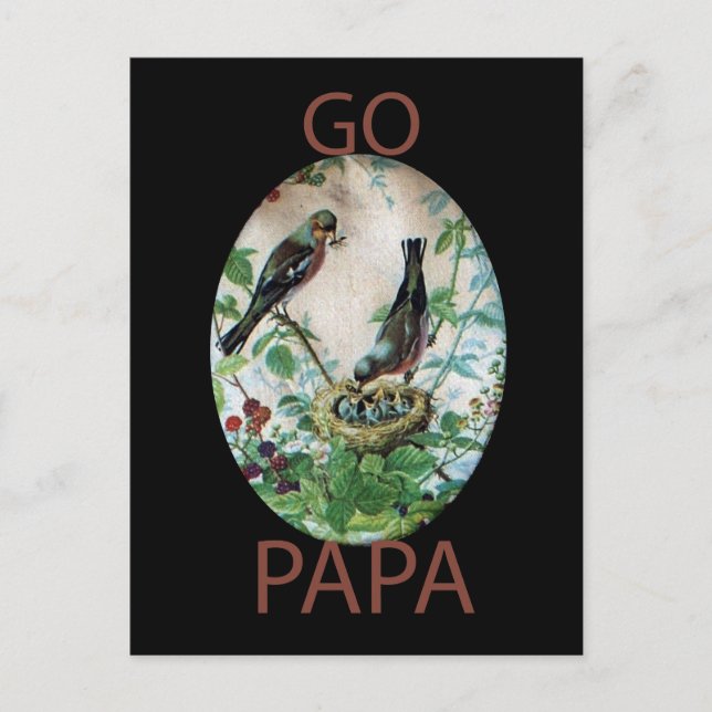 Parierte Eltern, Wertvolle Küken: Eine Naturgeschi Postkarte (Vorderseite)