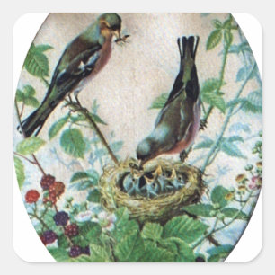 Parierte Eltern, Wertvolle Küken: Eine Naturgeschi Quadratischer Aufkleber