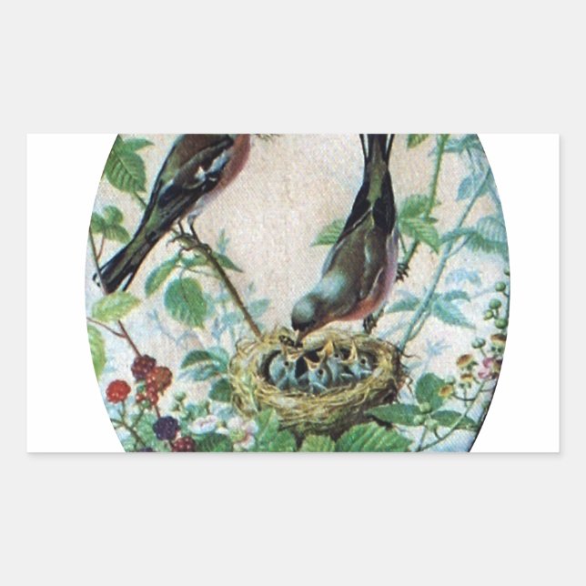 Parierte Eltern, Wertvolle Küken: Eine Naturgeschi Rechteckiger Aufkleber (Vorderseite)