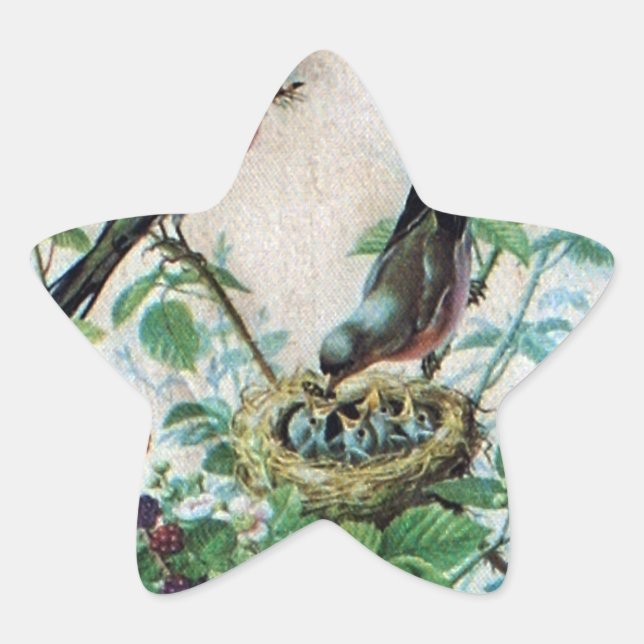 Parierte Eltern, Wertvolle Küken: Eine Naturgeschi Stern-Aufkleber (Vorderseite)