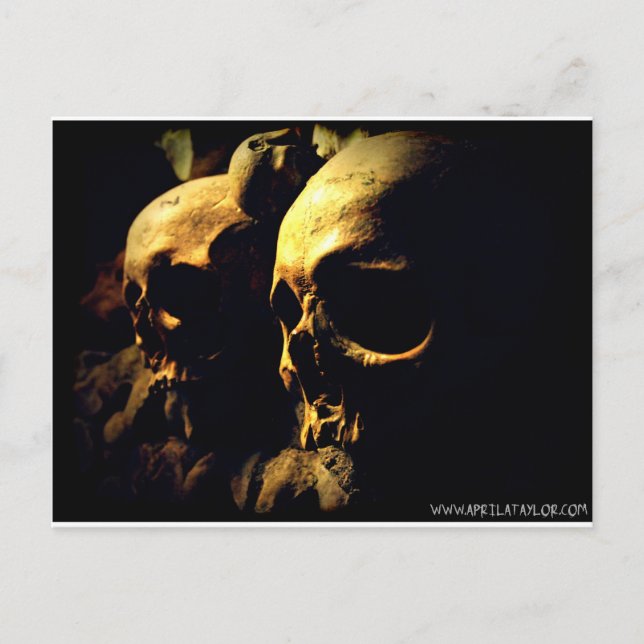 Paris Catacombs bis April A Taylor Postkarte (Vorderseite)