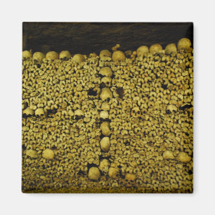 Paris Catacombs Skulls and Bones Magnet