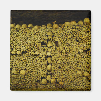 Paris Catacombs Skulls and Bones Magnet