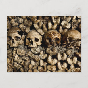 Paris Catacombs Skulls & Bones Postcard Postkarte