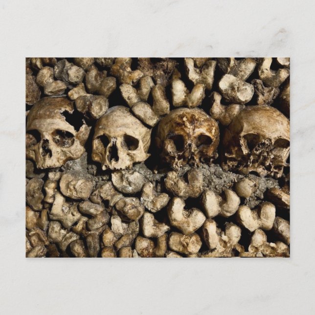 Paris Catacombs Skulls & Bones Postcard Postkarte (Vorderseite)