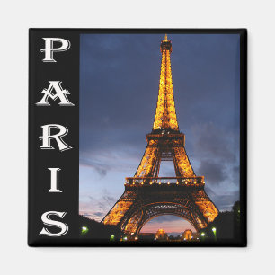 Paris Eiffel Tower Magnet