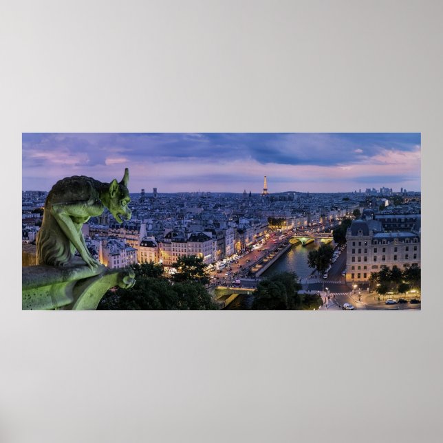 Paris France Gargoyle Poster (Vorne)
