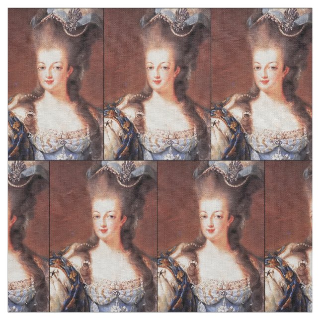 Paris French Marie Antoinette Fabric Stoff (Muster)