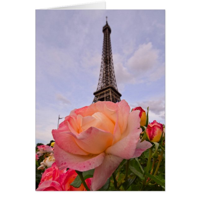 Paris im Frühling ist immer eine gute Idee (Vorne)