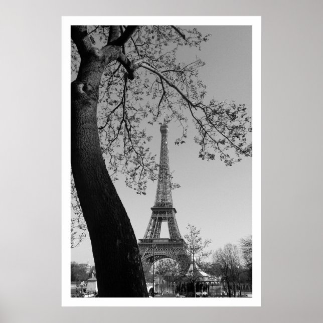 Paris im Frühling Poster (Vorne)