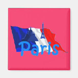 PARIS-Magnet Magnet