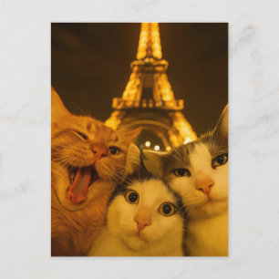 Paris Nacht Katze Selfie Squad Liebhaber           Postkarte