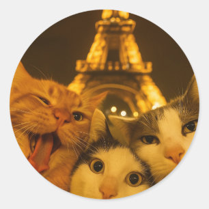 Paris Nacht Katze Selfie Squad Liebhaber           Runder Aufkleber