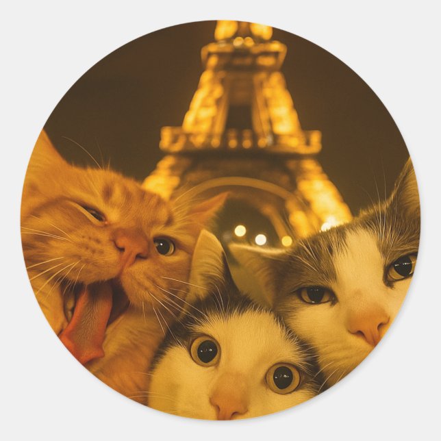 Paris Nacht Katze Selfie Squad Liebhaber           Runder Aufkleber (Vorderseite)