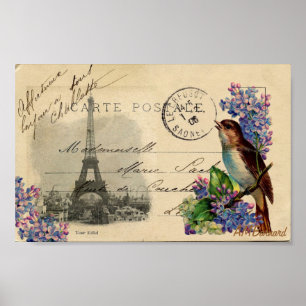 Paris Postcard Bird auf Lilacs Poster oder Print
