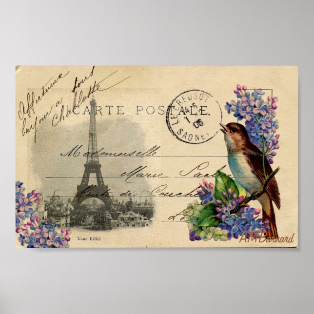 Paris Postcard Bird auf Lilacs Poster oder Print (Vorne)