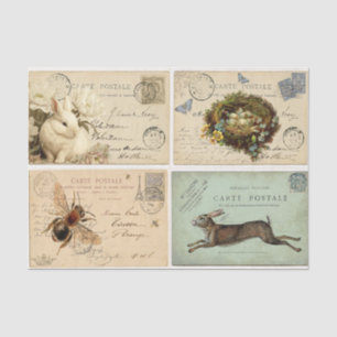 Paris Postkarten Seidenpapier