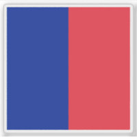 Pariser Flagge