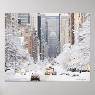 Park Avenue Poster