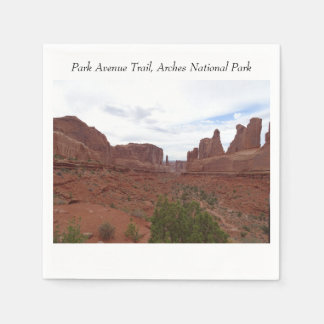 Park Avenue Trail, Arches Nationalpark Serviette