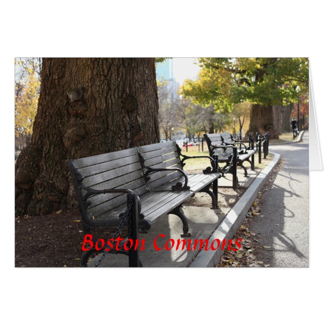 Park Bench, Boston Commons, Massachusetts (Vorderseite (Horizontal))
