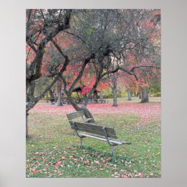 Park Bench im Herbstposter Poster