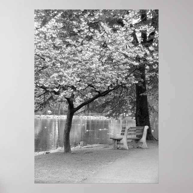 Park Bench Poster (Vorne)