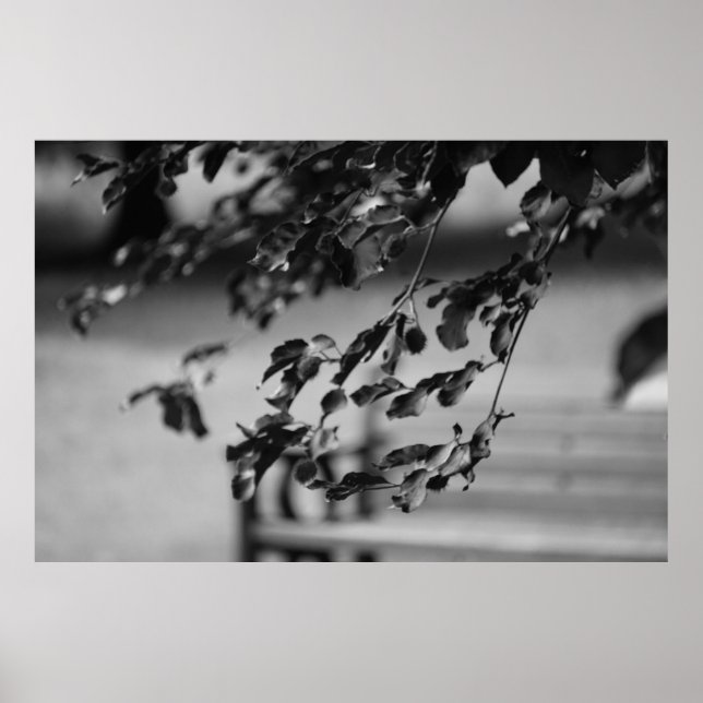 Park Bench Poster (Vorne)