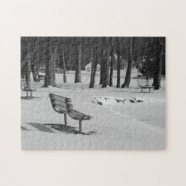 Park Benches Among a Mid Winters Scene Family Fun Puzzle (Horizontal)