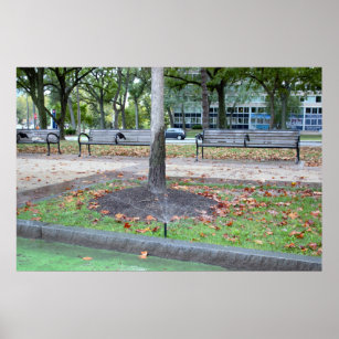 Park Benches Foto Poster