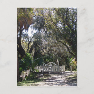 Park Bridge Postkarte