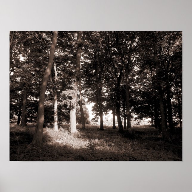 Park Bute, Cardiff II Poster (Vorne)