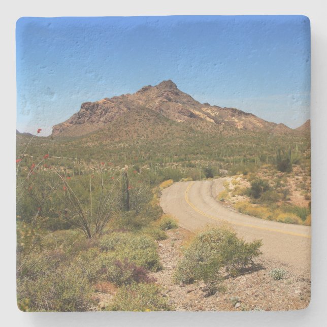 Park der Orgel in Arizona, Untersetzer (Vorderseite)