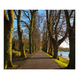 Park Fotodruck